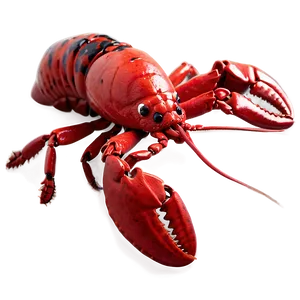 Cute Lobster Png Mvd23 PNG image