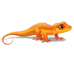 Cute Newt Illustration Png 06242024 PNG image