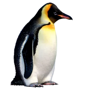 Cute Penguin PNG Mkl77
