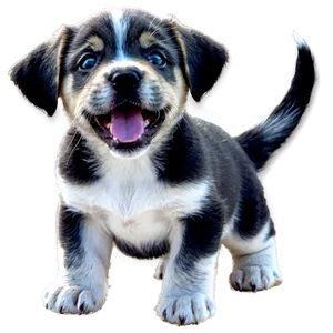 Cute Puppy Dog PNG Grt49
