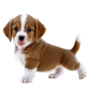 Cute Puppy Picture Png 39 PNG image