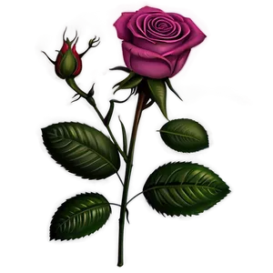 Cute Rose Flowers PNG Fof PNG