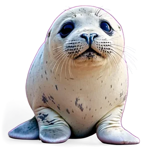 Cute Seal Illustration Png 05242024 PNG image