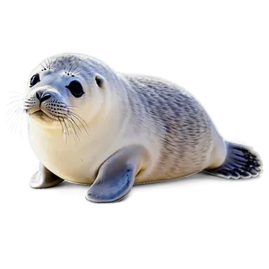 Cute Seal Illustration Png 75 PNG image