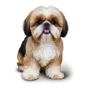 Cute Shih Tzu Dog Png 06242024 PNG image