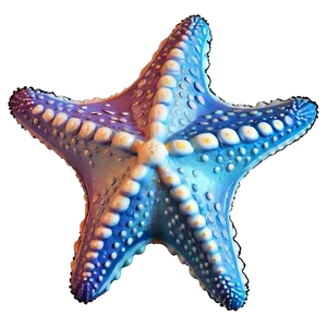 Cute Starfish Graphic PNG 05242024