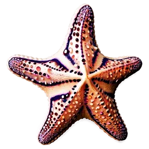 Cute Starfish Graphic PNG 3