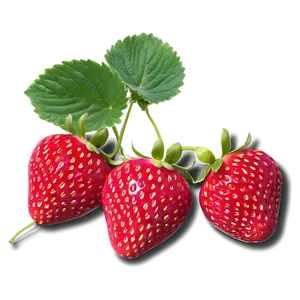 Cute Strawberry In Garden Png 06252024 PNG image