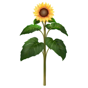 Cute Sunflower Character Png 05032024 PNG image