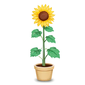 Cute Sunflower PNG Bgs PNG