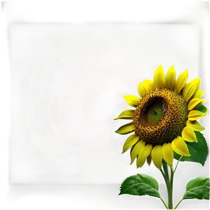 Cute Sunflower PNG Grj7 PNG