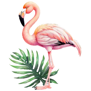 Cute Tropical Flamingo Clipart PNG 06272024