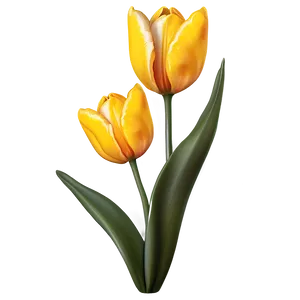 Cute Tulip Flowers PNG Rqd PNG