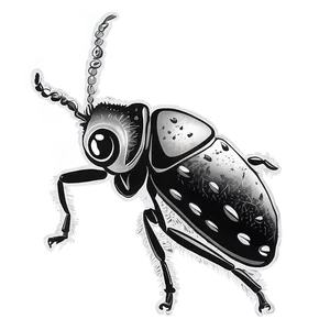 Cute Weevil Drawing Png 06292024 PNG image