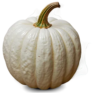 Cute White Pumpkin PNG 06212024