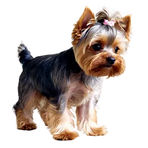 Cute Yorkie Png 85 PNG image