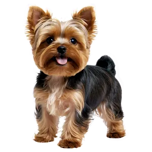 Cute Yorkie PNG Smv