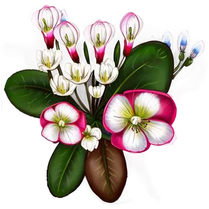 Cyclamen Flower Drawing PNG 05252024 PNG