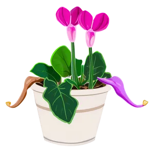 Cyclamen Flower Drawing PNG 05252024 PNG