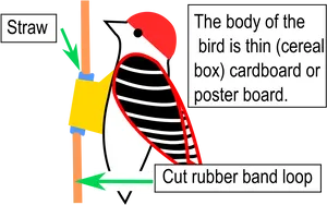 D I Y Woodpecker Craft Illustration PNG image