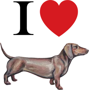 Dachshund Love Illustration
