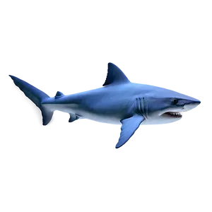 Daddy Shark Fun PNG Qgu