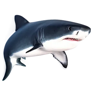 Daddy Shark Gentle PNG 25