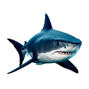 Daddy Shark Magical PNG 06212024