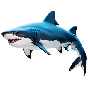 Daddy Shark Magical PNG Giq65 PNG