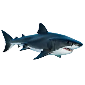 Daddy Shark Swimming PNG 49 PNG