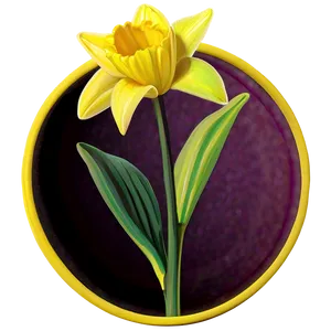 Daffodil Yellow Circle Idea PNG 47