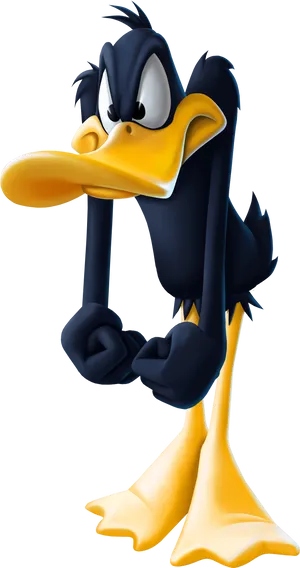 Daffy Duck Arms Crossed Looney Tunes PNG image