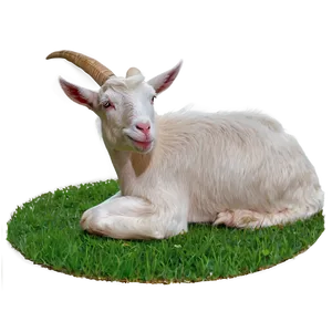 Dairy Goat Png 05232024 PNG image