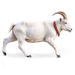 Dairy Goat Png Xqj PNG image