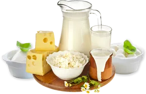 Dairy Products Variety