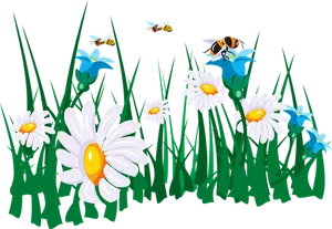 Daisies_and_ Bees_ Vector_ Illustration
