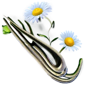 Daisy Bloom Png 66 PNG image