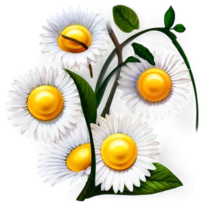 Daisy Border Png Nda PNG image