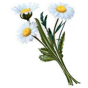 Daisy Bouquet Png 05212024 PNG image