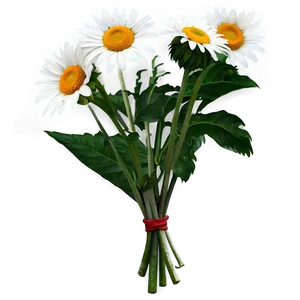Daisy Bouquet Png 05212024 PNG image