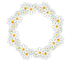 Daisy Chain Circle Black Background