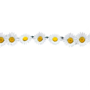 Daisy Chain Png 05212024 PNG image