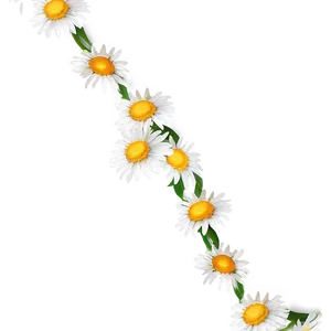 Daisy Chain Png Ufd PNG image