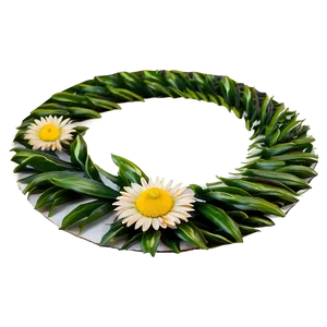 Daisy Circle Png 06252024 PNG image