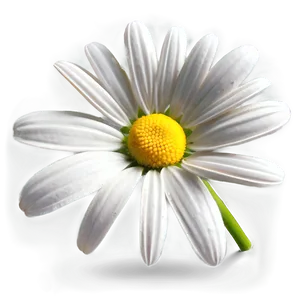 Daisy Clipart PNG Mpj PNG