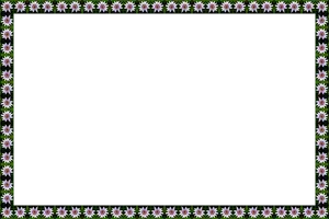 Daisy Decorated Black Frame