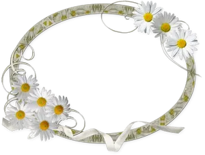 Daisy Decorated Photo Frame PNG image