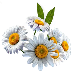 "daisy Delight: Cheerful Flower PNG" D