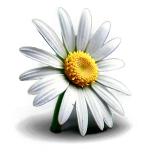 Daisy Detail Png Cmh18 PNG image