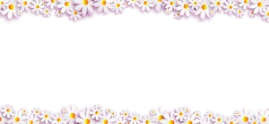 Daisy Flower Border Design